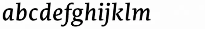 Edit Serif Pro Regular Italic