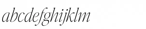 Editors Note Hairline Italic