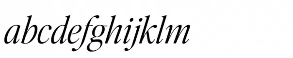 Editors Note Light Italic