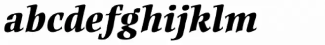 Ellington Pro ExtraBold Italic