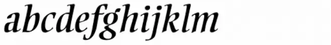 Ellington Pro Italic