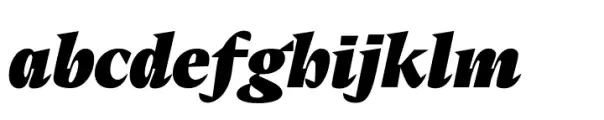 Elvira Serif Black Italic