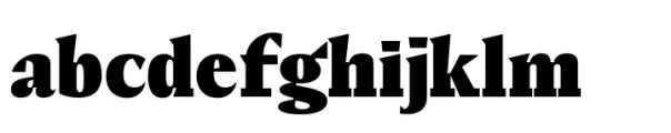 Elvira Serif Black