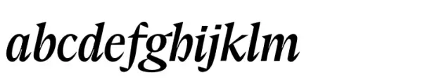 Elvira Serif Variable Italic
