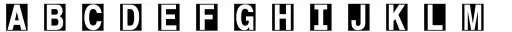 Encercle Sans Cir Bold