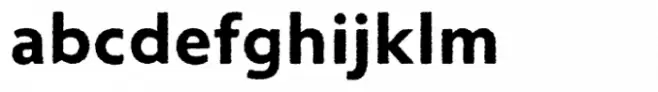 Entendre Rough Bold