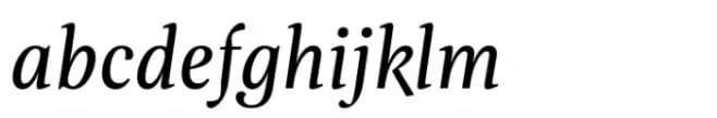 Evans Book Italic