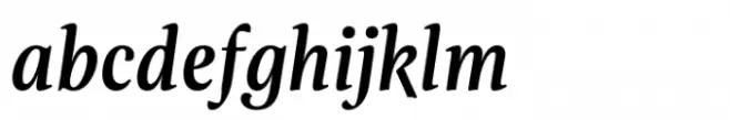 Evans Narrow Medium Italic