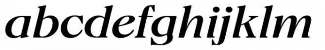 Fansan Medium Italic