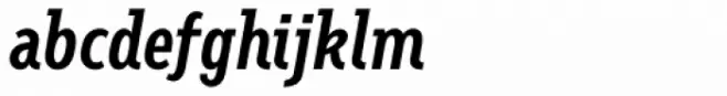 Fellbaum Grotesk Medium Italic