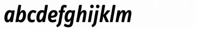 FF Info Text Semi Bold Italic