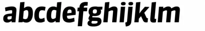 FF Sanuk Big Bold Italic