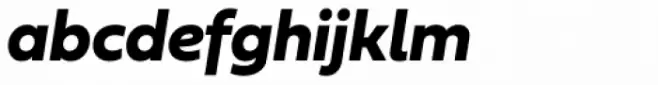 Fieldwork Italic Bold