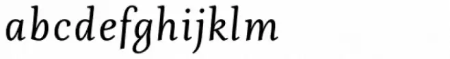 Fiesole Text Italic