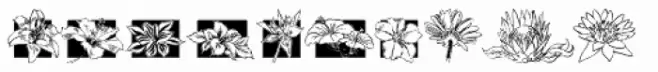 Fleuraloha