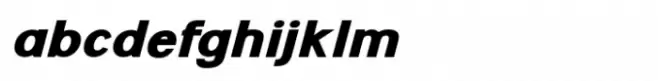 Flight Feather Black Italic