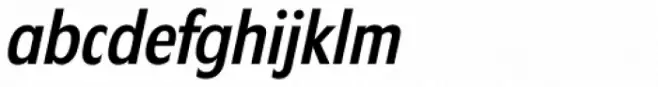 Florida Serial Medium Italic