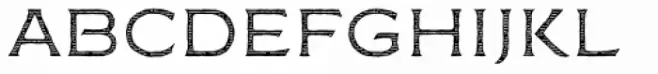 FM Bolyar Engraved Two NPro 100