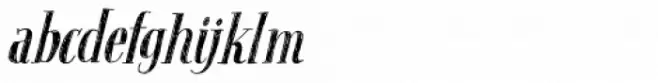 Follow The Light Italic