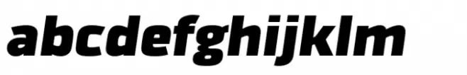Fortuita Black Italic