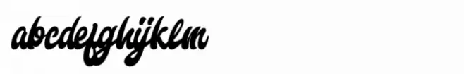 Freedam Theory Regular