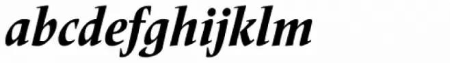 Frutiger Serif Pro Condensed Heavy Italic