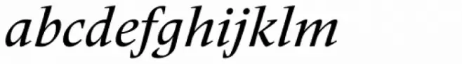 Frutiger Serif Pro Medium Italic