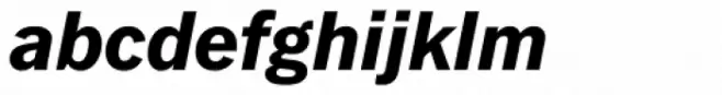 Fuller Sans DT ExtraBold Italic