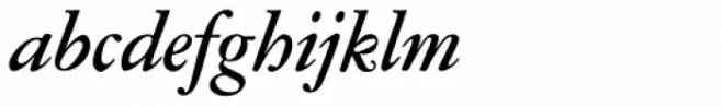 Garamont Amst SB Med Italic