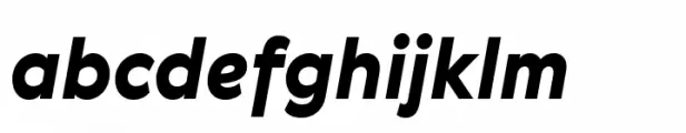 Gerbera Black Italic