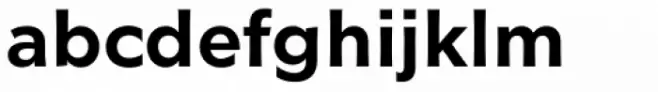 Glot Medium