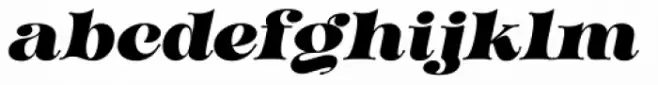 Golden Metafor Italic