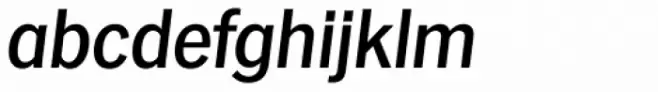 Hamburg Serial Medium Italic