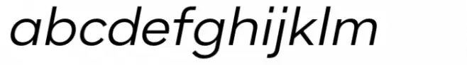 Handil Pro Light Italic