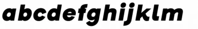 Henderson Sans Black Italic