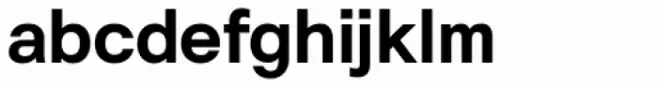 Hergon Grotesk Bold