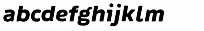 Ipsum Sans 800 Italic