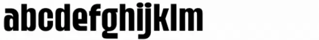 Kaligane Bold