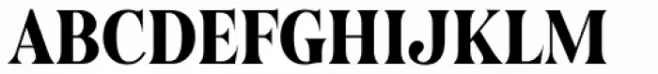 Karlie Serif Condensed