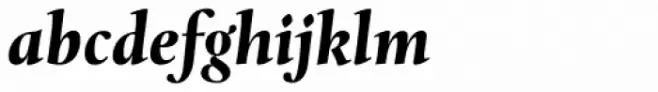 Levato Pro Black Italic