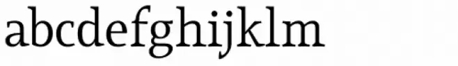 Lineare Serif Book