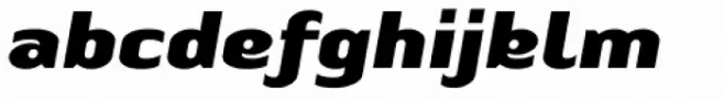 Linotype Authentic Sans Pro Black Italic