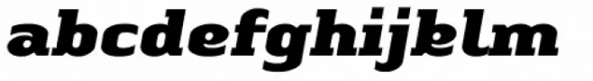 Linotype Authentic Serif Pro Black Italic