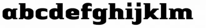 Linotype Authentic Small Serif Std Black