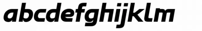Magis Black Italic