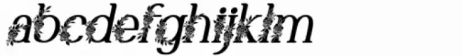Marlyn Flo Medium Italic