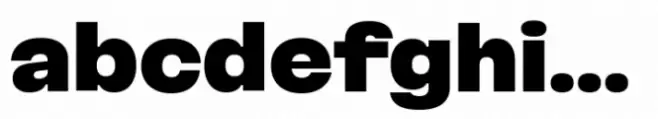 Martian Grotesk SWd Bl