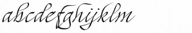 Mayence Plus