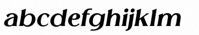 Melion Extra Black Italic