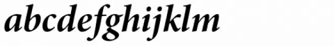 Minion Pro SubHead Bold Italic